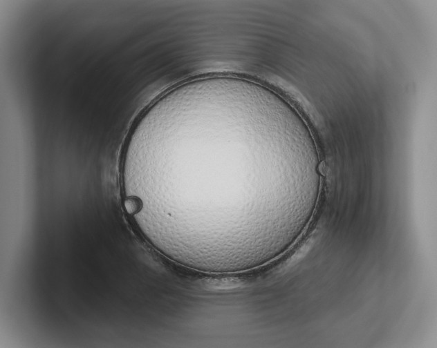 X0000102291129200808081517