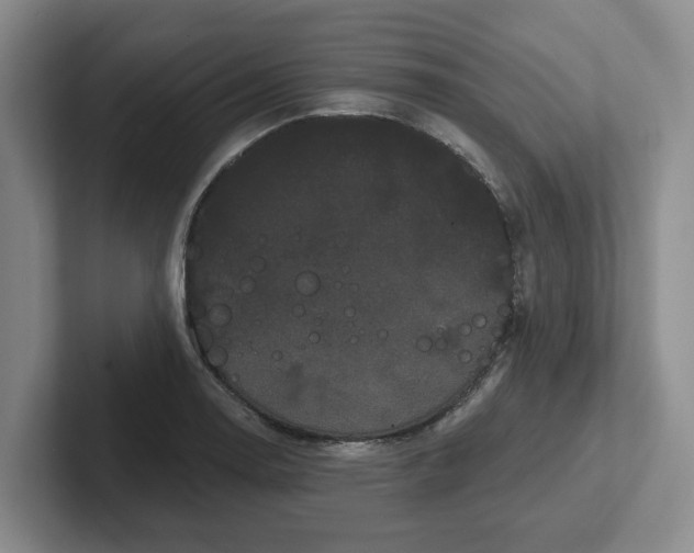 X0000102291130200808081517