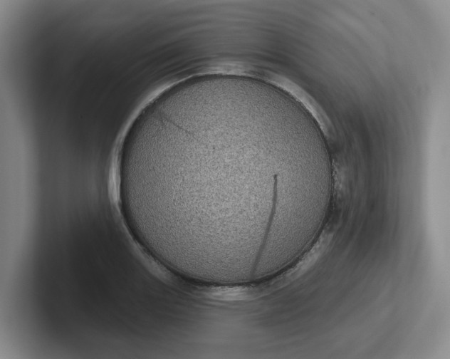 X0000102291131200808081517