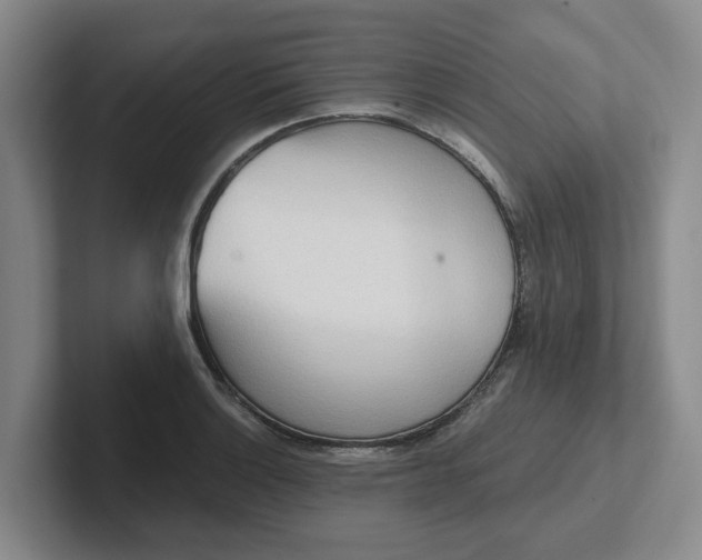 X0000102291132200808081517