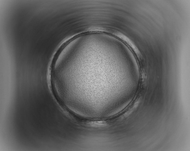 X0000102291133200808081517