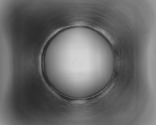 X0000102291134200808081517