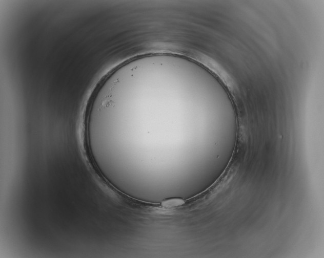 X0000102291136200808081517