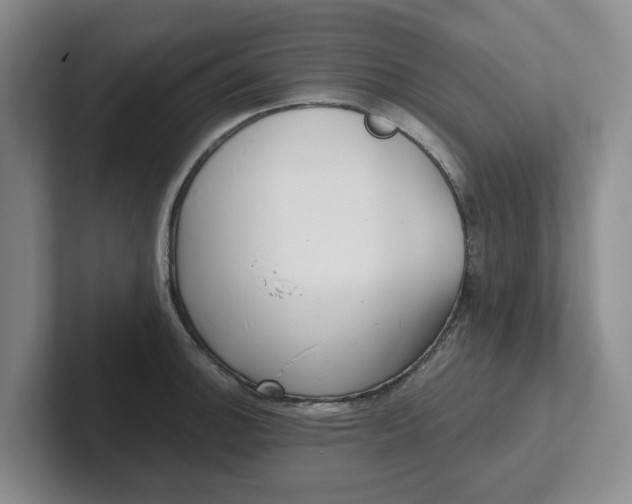 X0000102291140200808081517