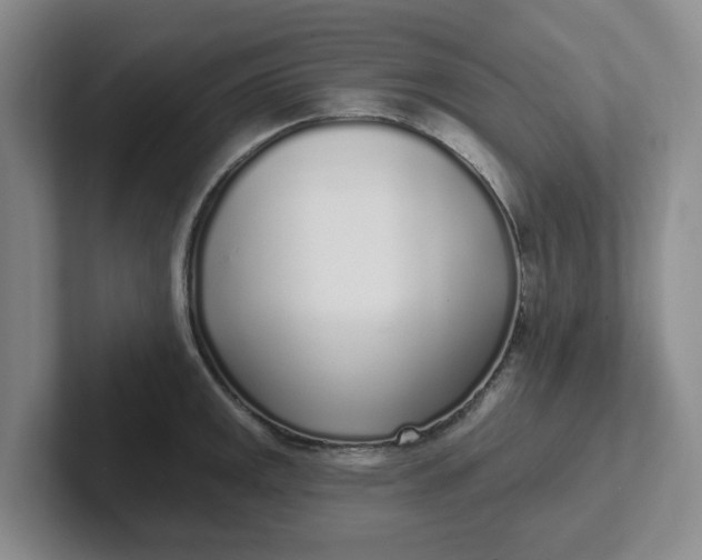 X0000102291141200808081517