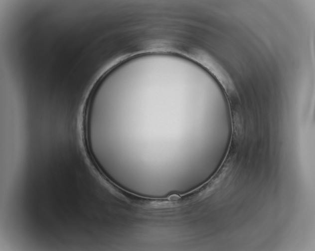 X0000102291142200808081517