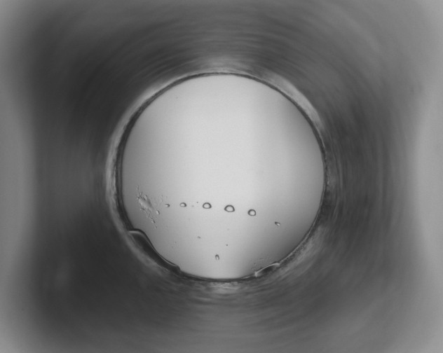 X0000102291144200808081517