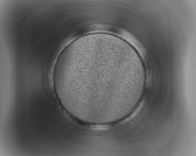 X0000102291145200808081517