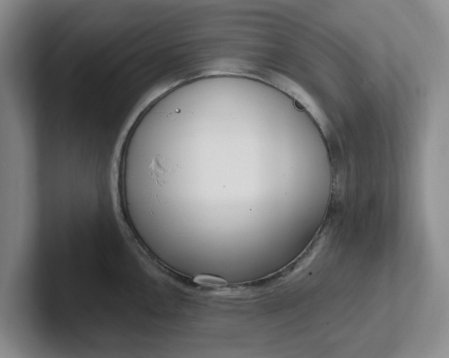 X0000102291146200808081517