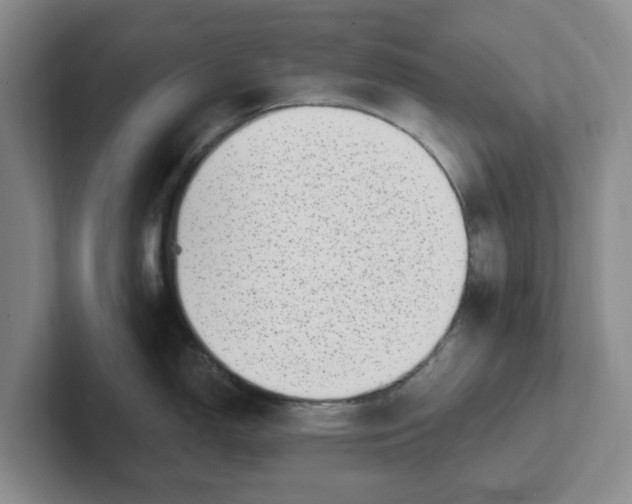 X0000102291150200808081517