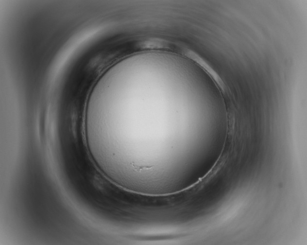 X0000102291151200808081517