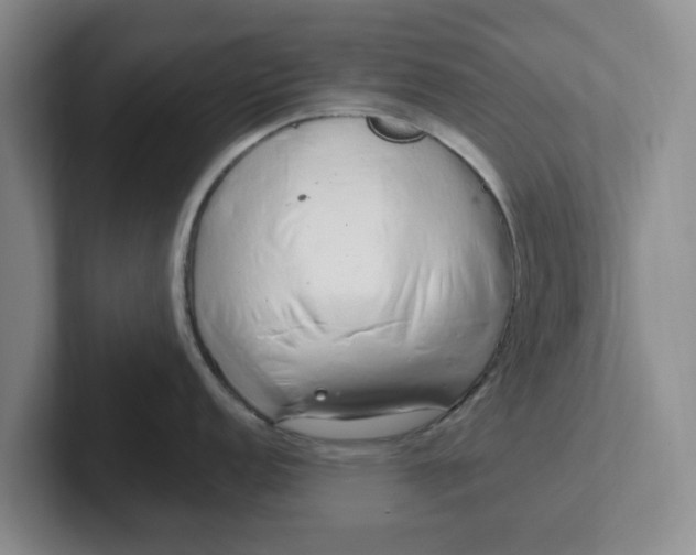 X0000102291152200808081518