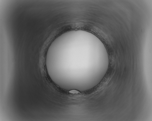 X0000102291153200808081517