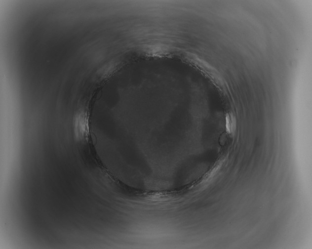 X0000102291155200808081517