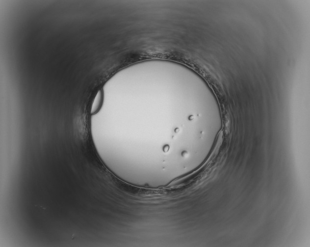 X0000102291156200808081517