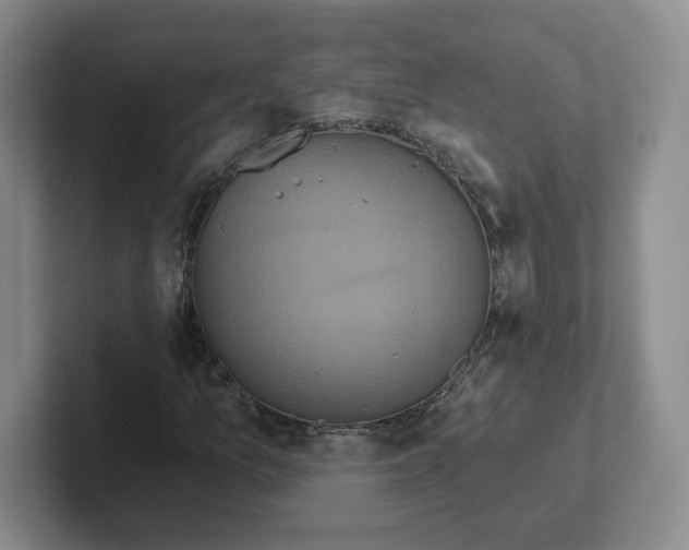 X0000102291157200808081517