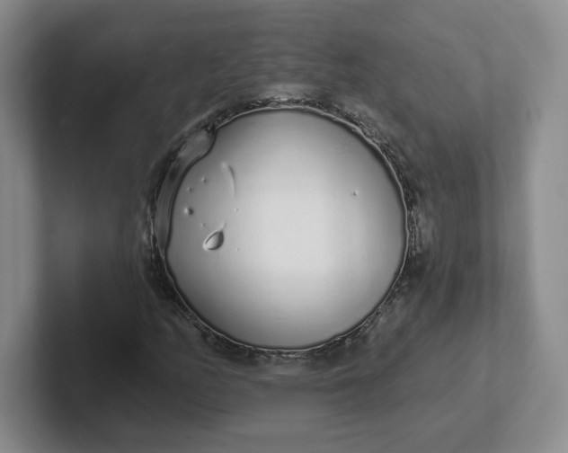 X0000102291158200808081517