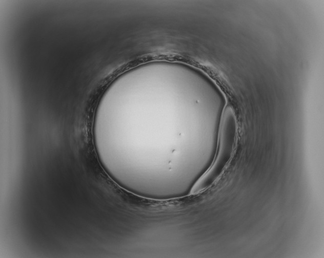 X0000102291159200808081517