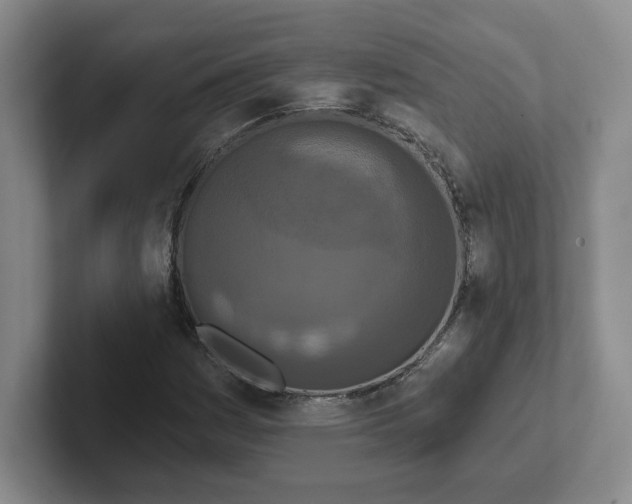 X0000102291161200808081517