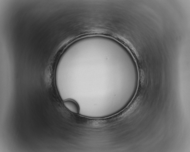 X0000102291163200808081517