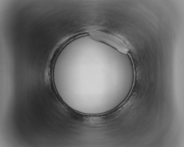 X0000102291164200808081517