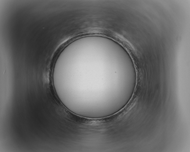 X0000102291166200808081517