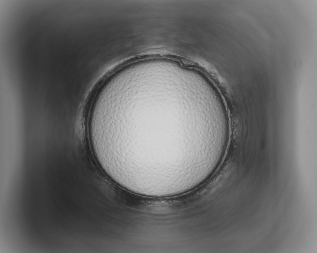 X0000102291167200808081517