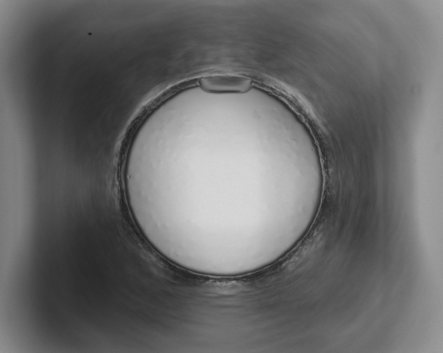 X0000102291168200808081517