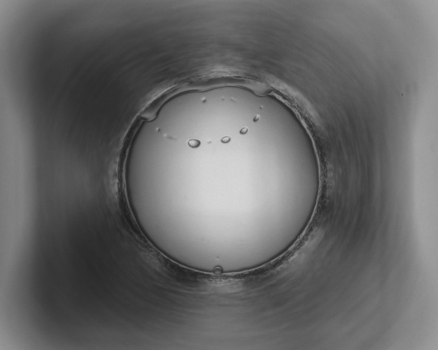 X0000102291170200808081517