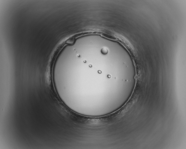 X0000102291172200808081517