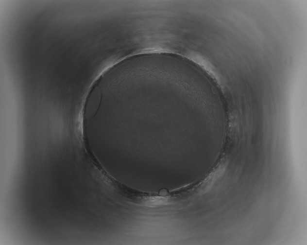 X0000102291173200808081517