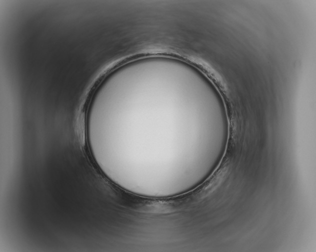 X0000102291175200808081517