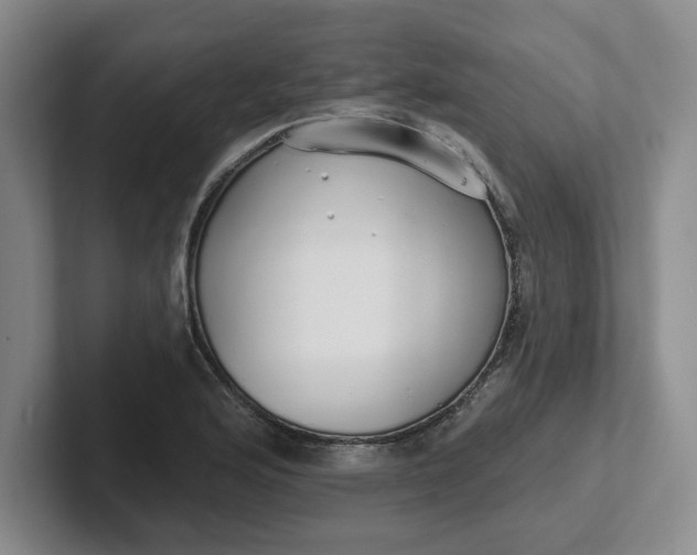 X0000102291176200808081517