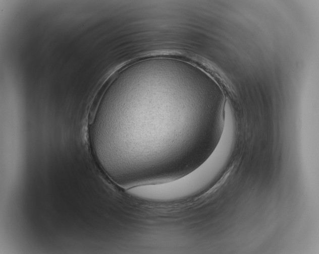 X0000102291177200808081517