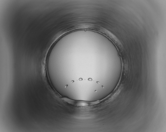 X0000102291178200808081517