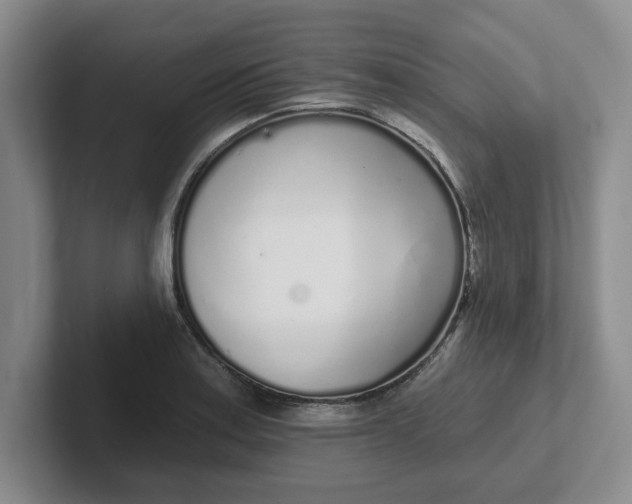 X0000102291179200808081517