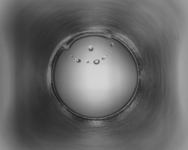 X0000102291180200808081517