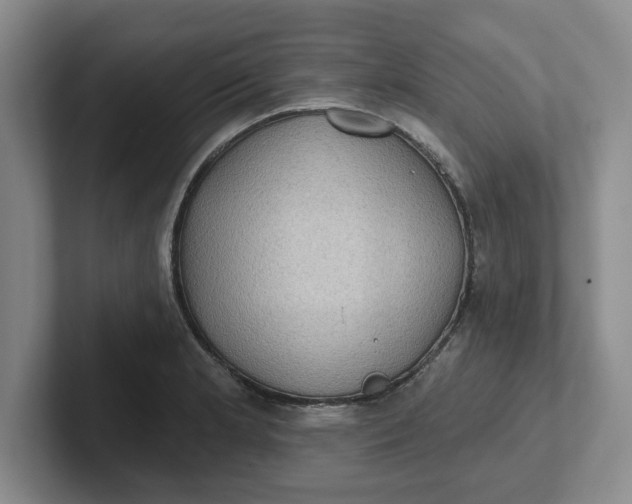 X0000102291181200808081517