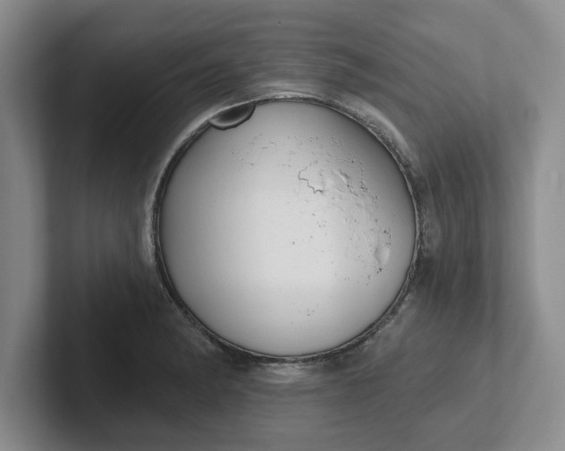 X0000102291182200808081517