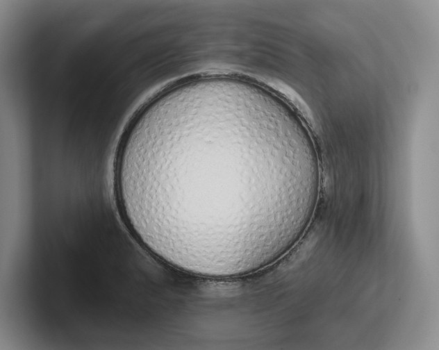 X0000102291183200808081516