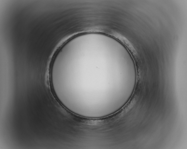 X0000102291184200808081516