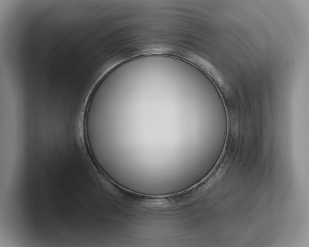 X0000102291186200808081516