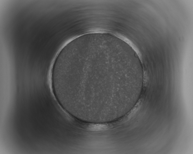 X0000102291187200808081516