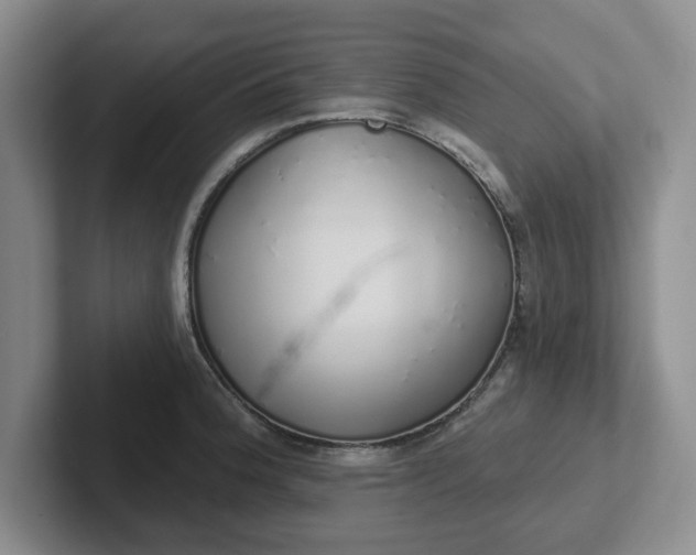 X0000102291188200808081516