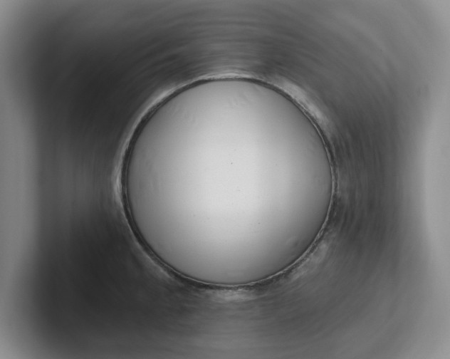 X0000102291189200808081516