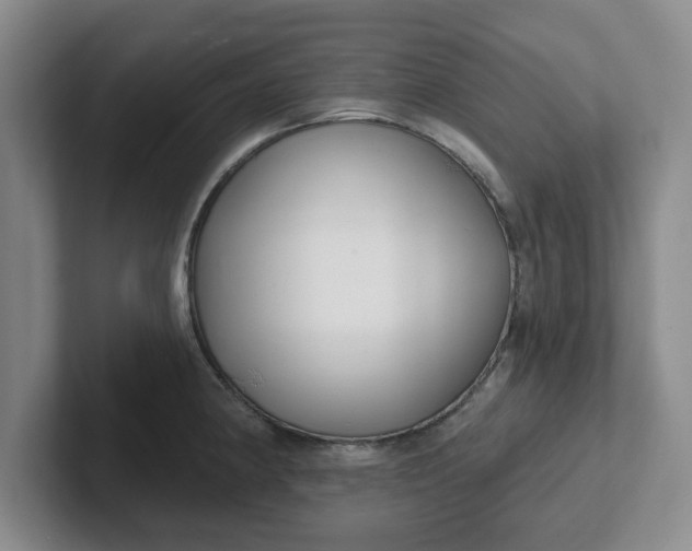 X0000102291190200808081516