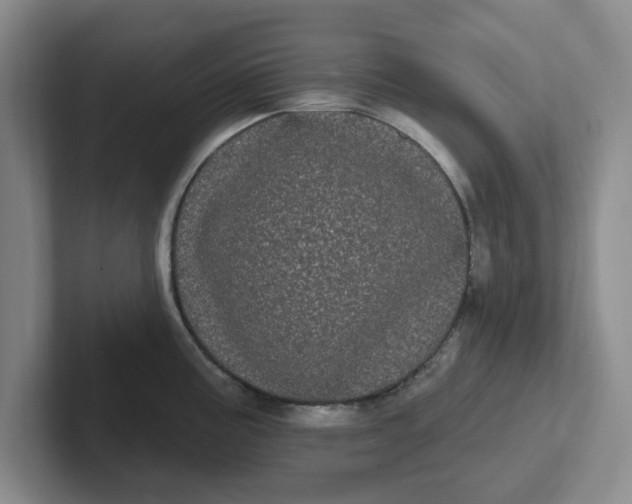 X0000102291195200808081516