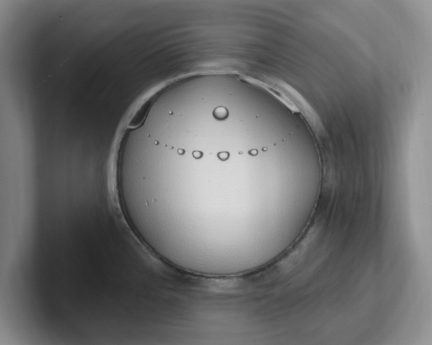 X0000102291196200808081516