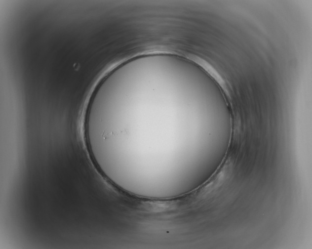 X0000102291197200808081516