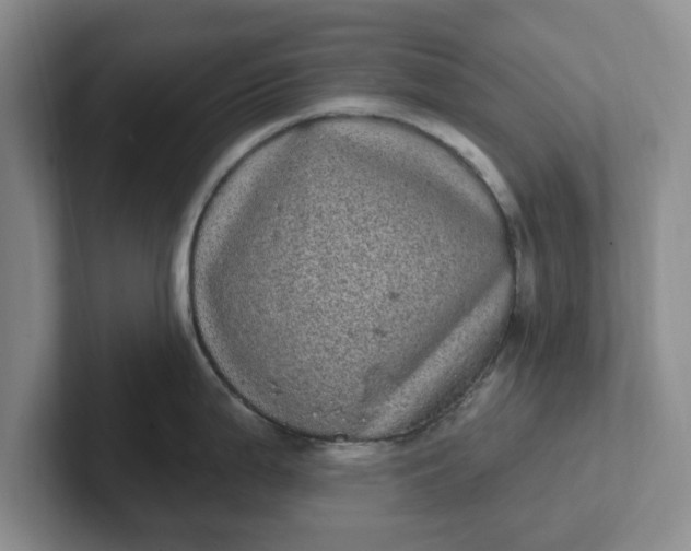 X0000102291199200808081516